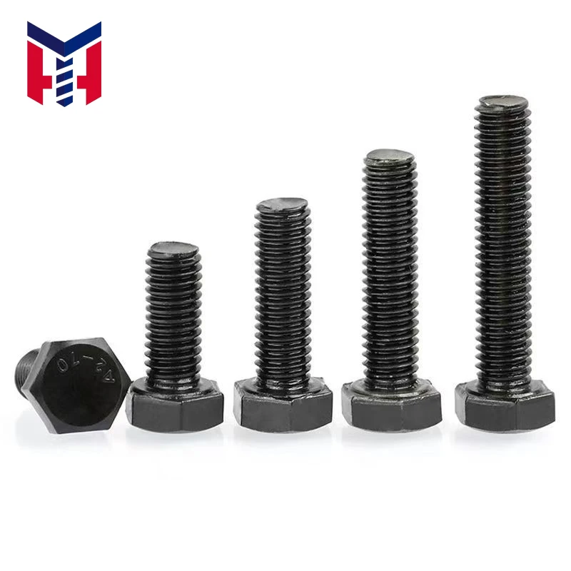 Black Stainless Steel Bolts